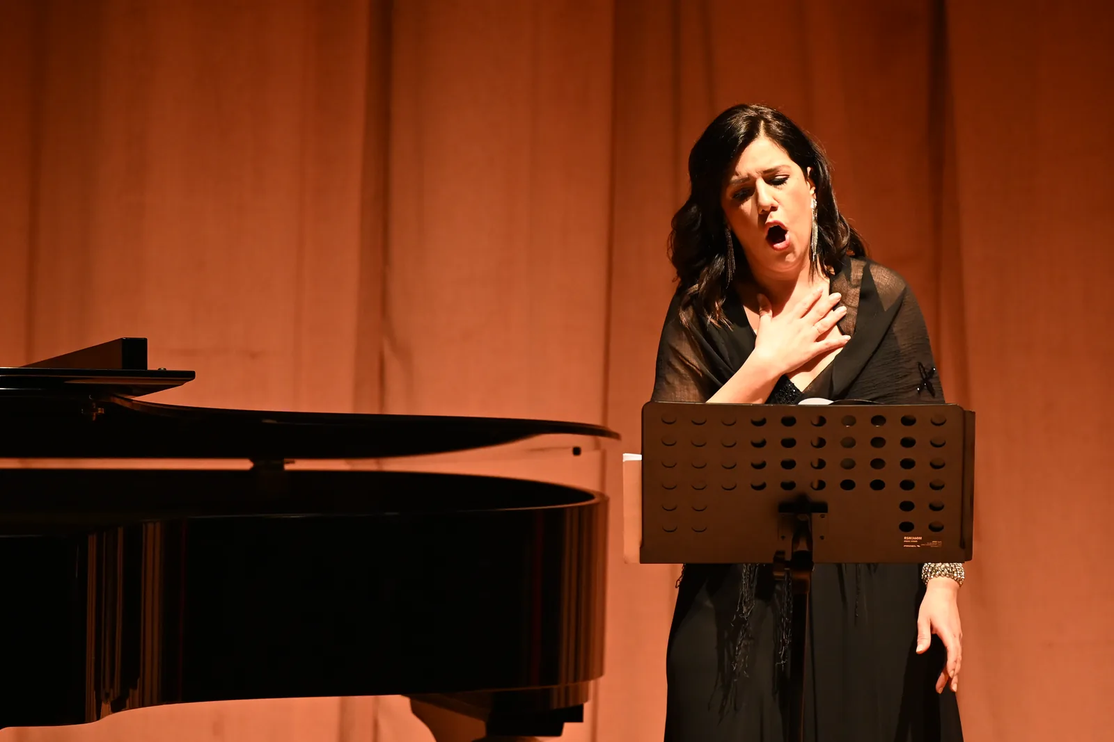 Catania riscopre Pacini II, Teatro Sangiorgi — fotografia 7